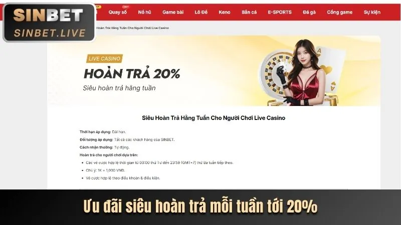 Trải nghiệm sòng bạc trực tuyến chân thực tại 333 vin